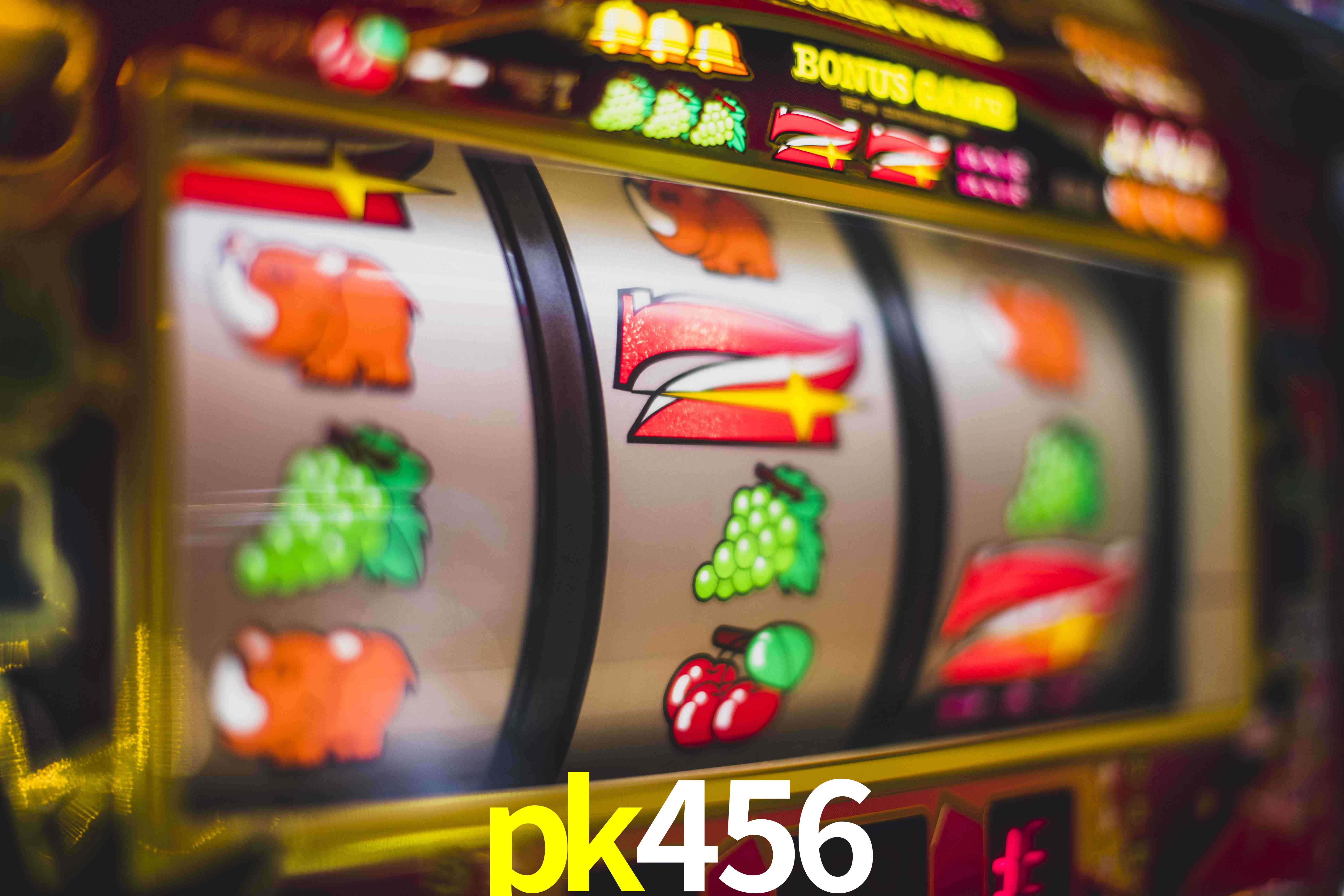 VIP Casino pk456